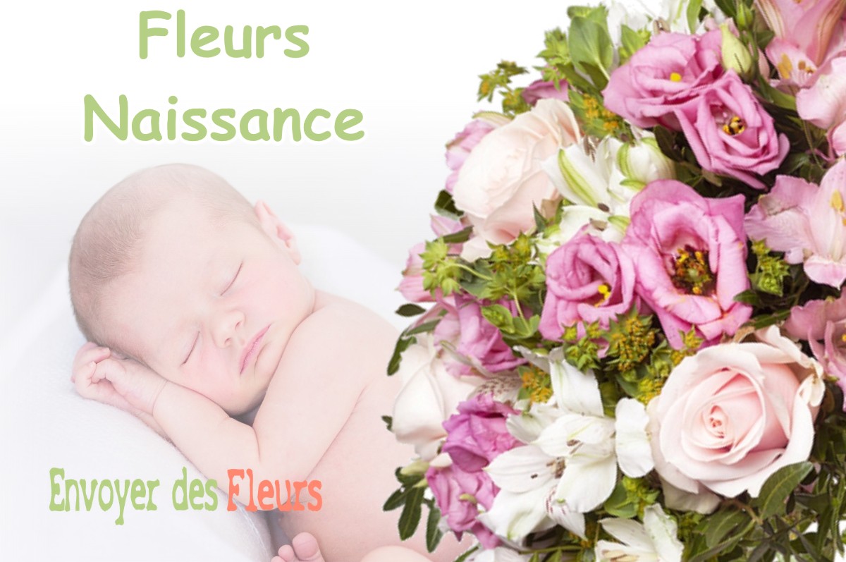 lIVRAISON FLEURS NAISSANCE à GIERES